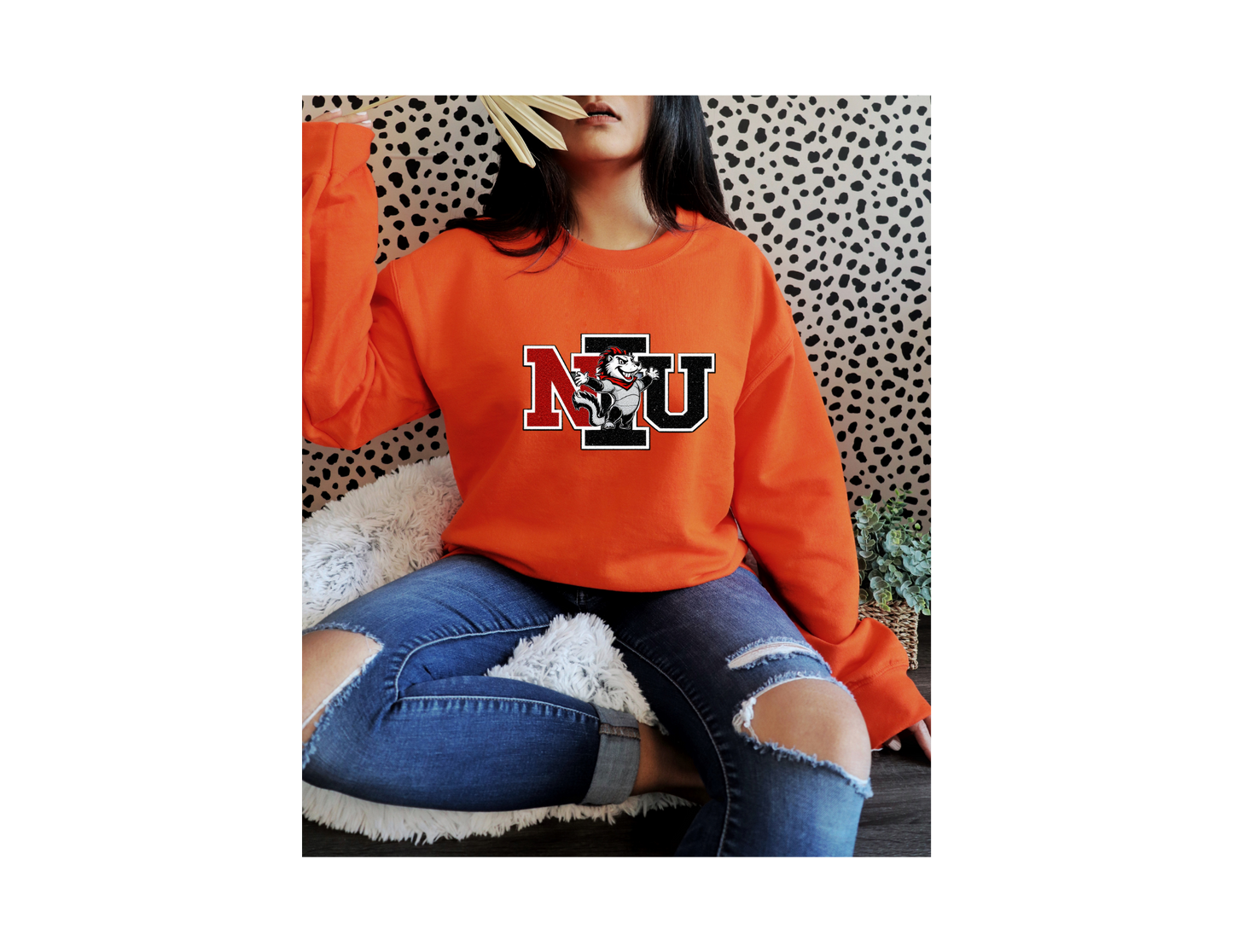 NORTHER ILLINOIS UNIVERSITY
