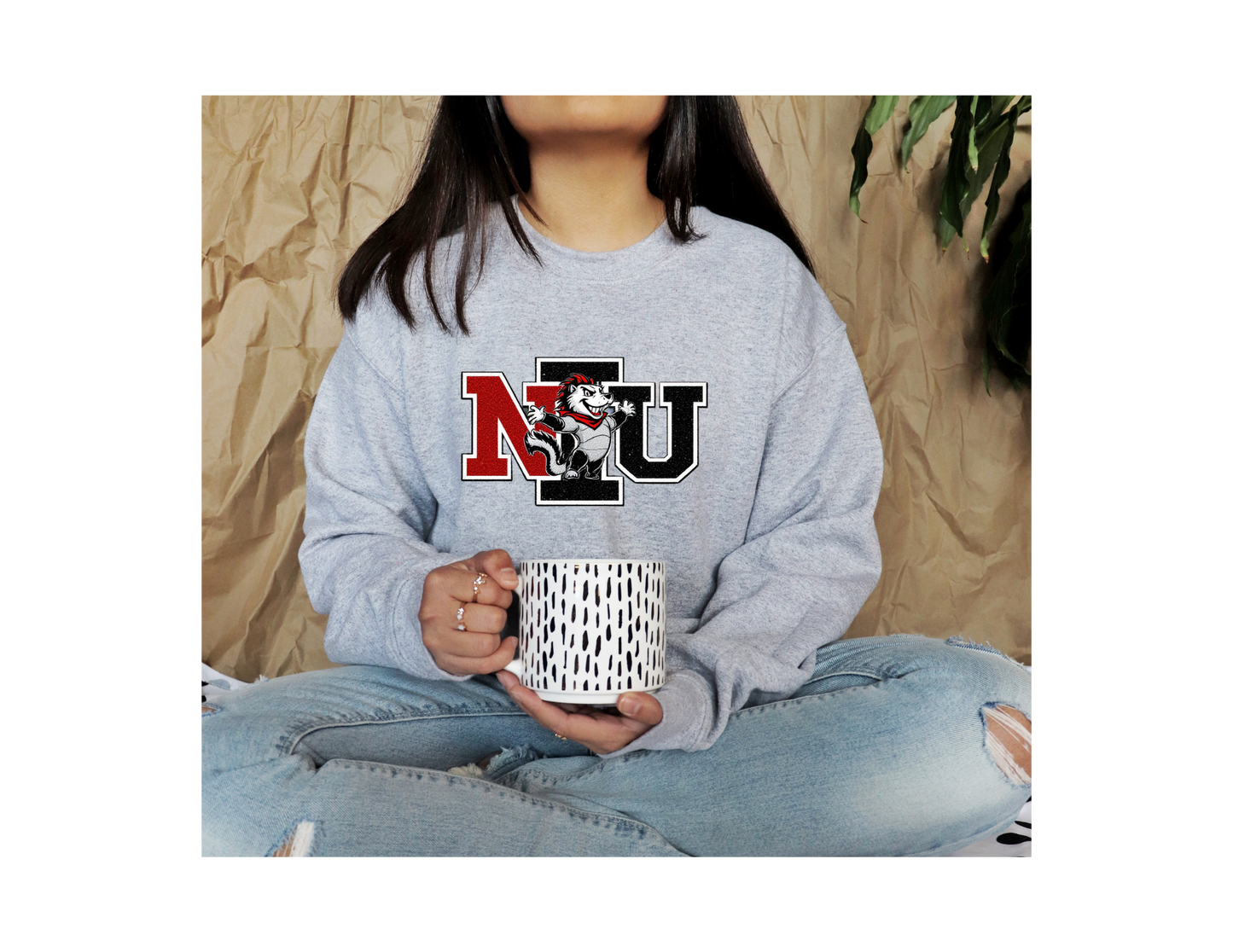 NORTHER ILLINOIS UNIVERSITY