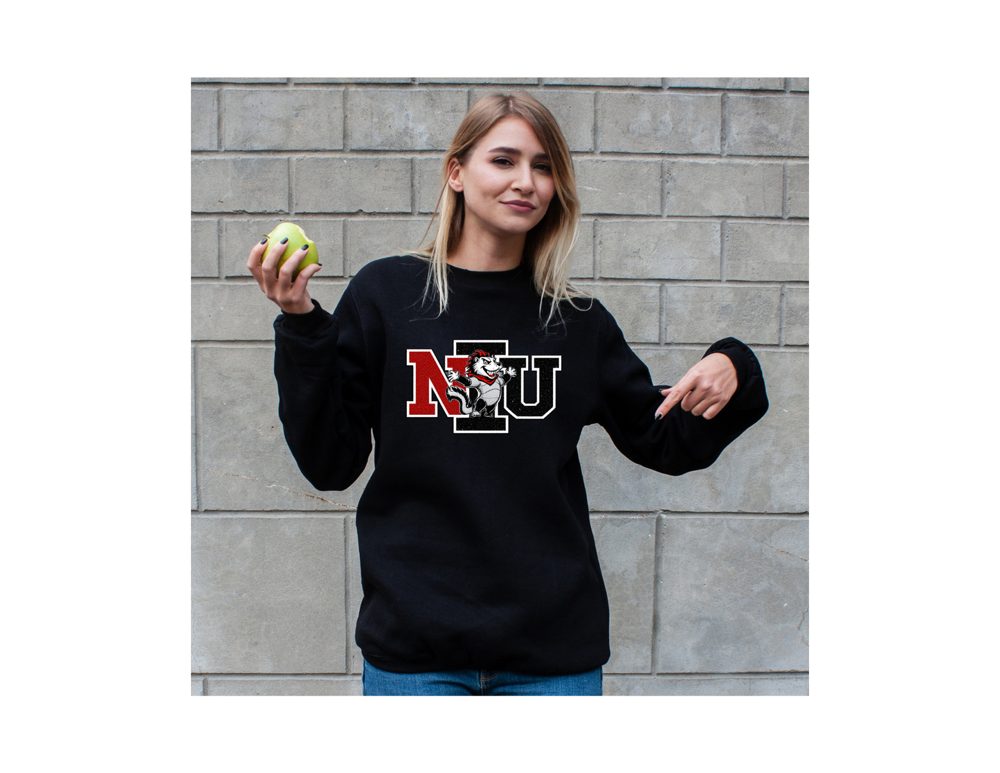 NORTHER ILLINOIS UNIVERSITY