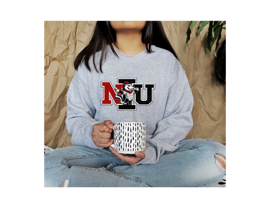 NORTHER ILLINOIS UNIVERSITY