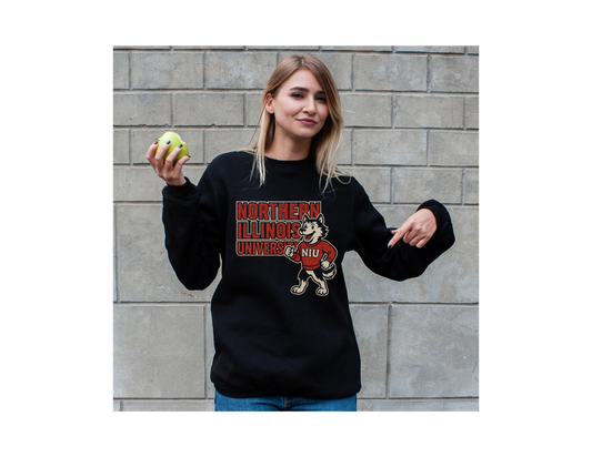 NORTHERN ILLINOIS SWEATER