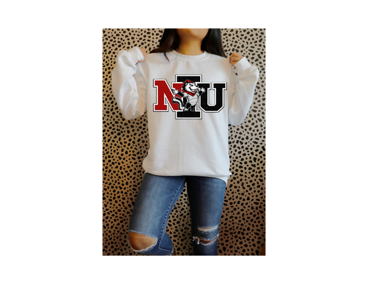 NORTHER ILLINOIS UNIVERSITY